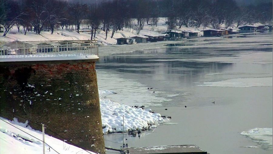 Zale�ena Sava 2012